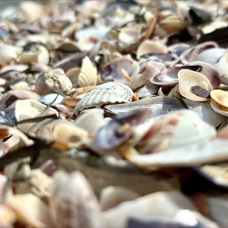 Apartman Bay - Menada Apatments *