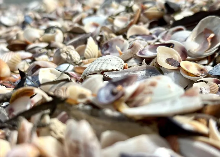 Lägenhet Bay - Menada Apatments *